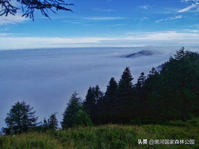 别卷了！躲进黑河的“绿野仙踪”，把秋天装进后备箱！