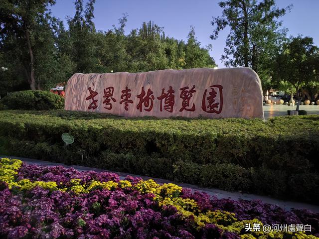 宁夏灵武——古灵州