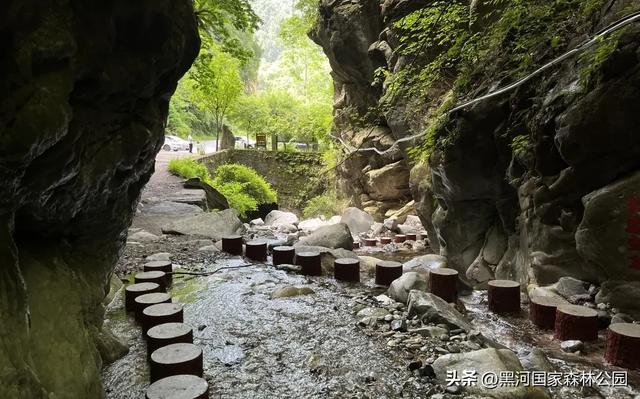 西安人的夏日消暑指南,黑河的清凉山水比空调更治愈→