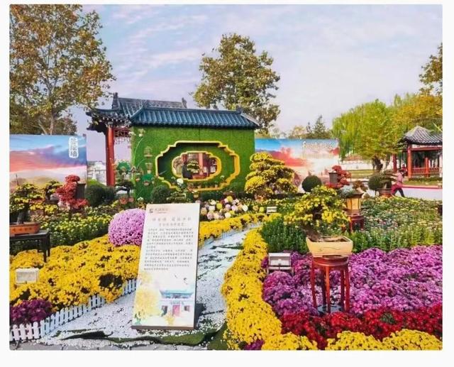 冬游中原 千年宋都暖冬福利