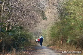 西安被低估的出游宝藏地，拥有两个“世界吉尼斯记录”，在西郊！图片