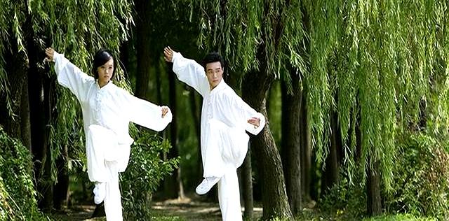 学太极拳此套路	，一通百通，融会贯通