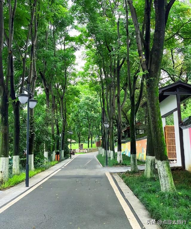 成都主城区老牌公园，最适合乘凉避暑，超级舒服，地铁公交直达！