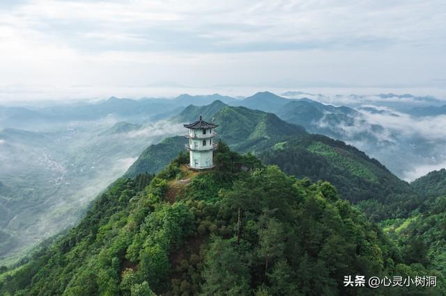 无论和谁喝酒，在酒桌上一定要记住这四条规矩，否则会被人瞧不起