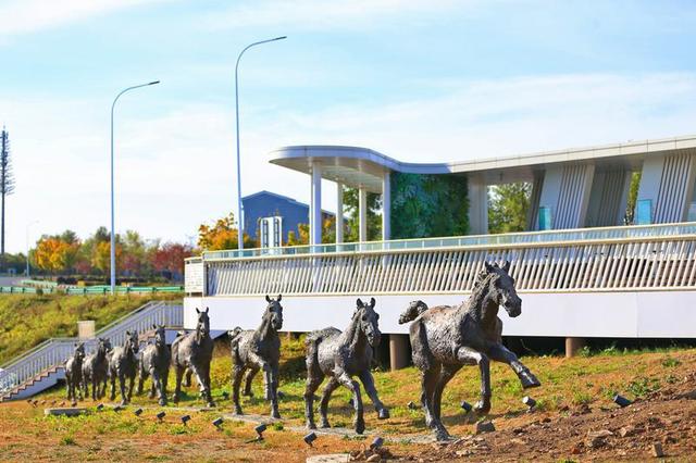 长春北湖公园：湖光秋色两相宜