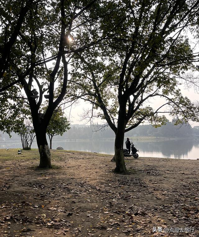 成都城市中的草原牧场，彩林比阿勒泰还美，公交车地铁直达！