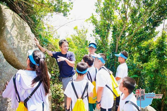 铜鼓岭“绿野仙踪”开营！40余名“小小自然探索家”解锁生态奇旅