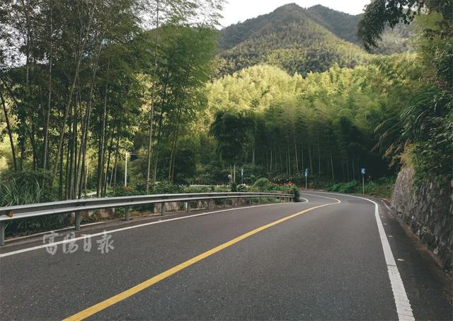 绝了！富阳这条公路，颜值爆表！是时候出动了！