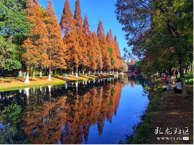 采莲河畔好风光
