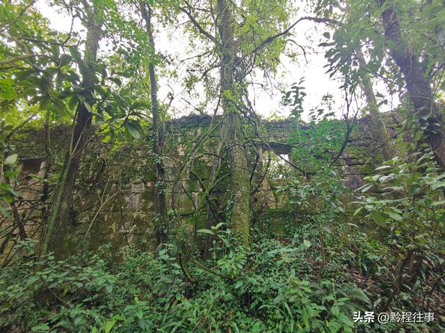 探寻龙眼山古寺遗址，一次最为艰难的野外探险之旅