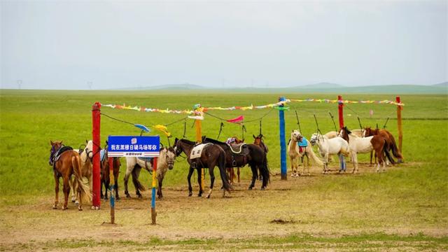 西乌旗：以生态为基，凭借草原99号公路之力绘就经济腾飞新画卷