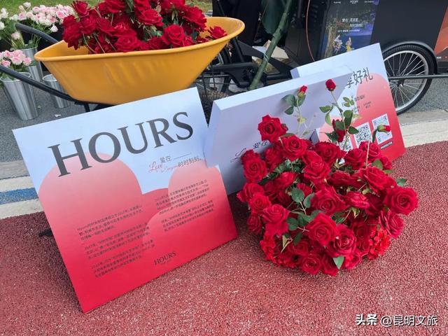 街头流动花车、城市音乐会、非遗雅集……昆明人过七夕，从来不设限！附最强攻略