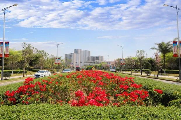 [广东 深圳市龙华区观湖街道]