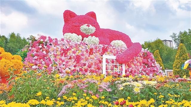 【为龙江旅游代言】东北最大金秋菊花展！不能错过！