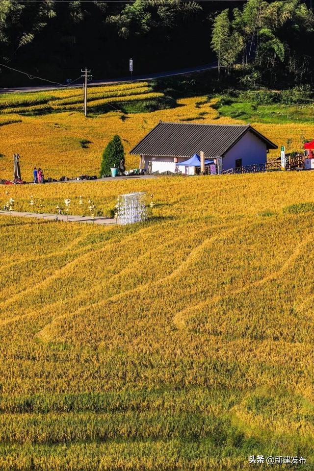 江西的秋，慢慢把山河写成诗