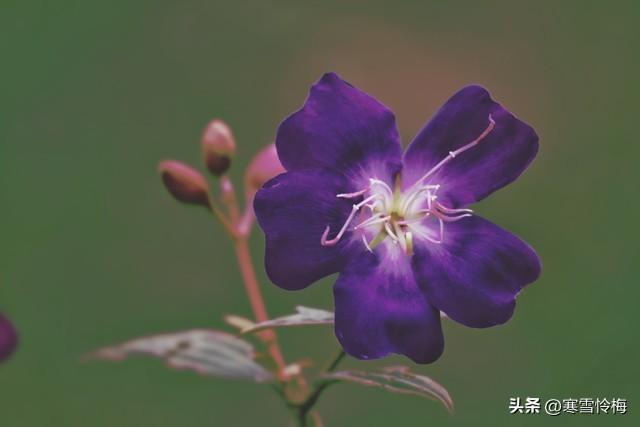 男人如何去刺激女人的荷尔蒙？方法很简单	，不信可以试试。