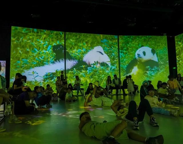 这个元旦假期来成都熊猫国际旅游度假区就对了~ | 成华融媒