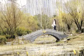 踏青赏景正当时图片