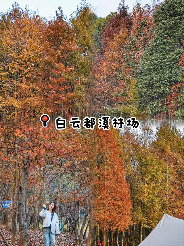 🌲别再去观山湖公园挤了！这9个小众地同样美到爆