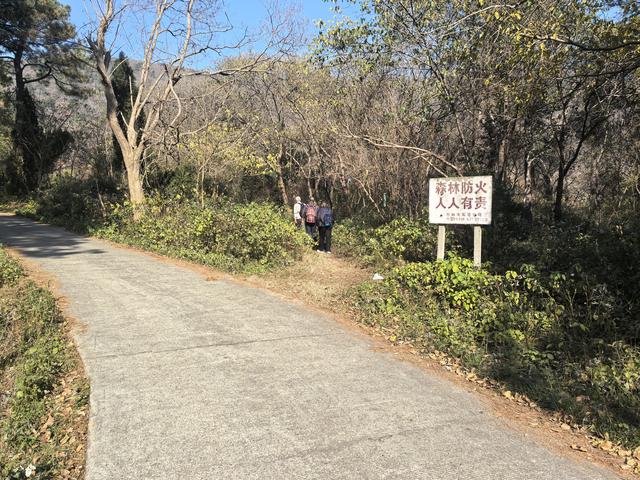 南京第二次到镇江武岐山空青山郊野徒步