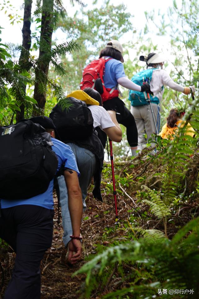 永定奥杳梯田穿越九十九岽徒步