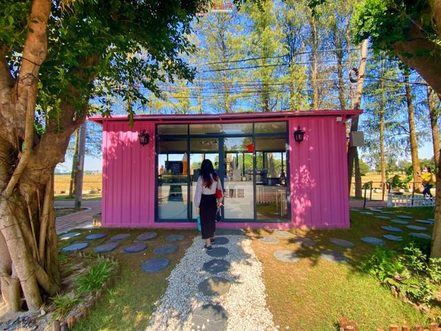 列车增开!中山直达网红度假地