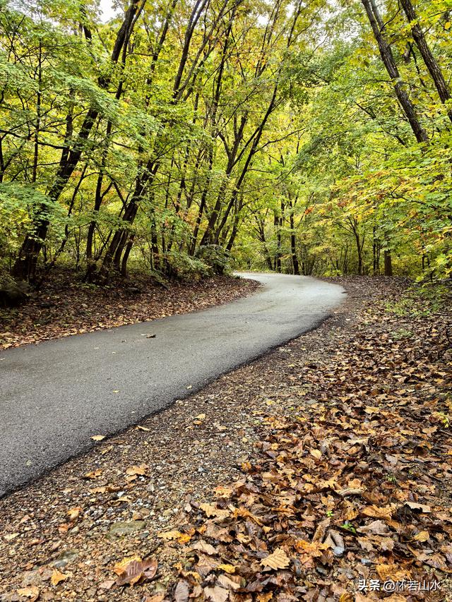 2025辽宁赏秋之旅日记(2)——游览丹东蒲石河森林公园