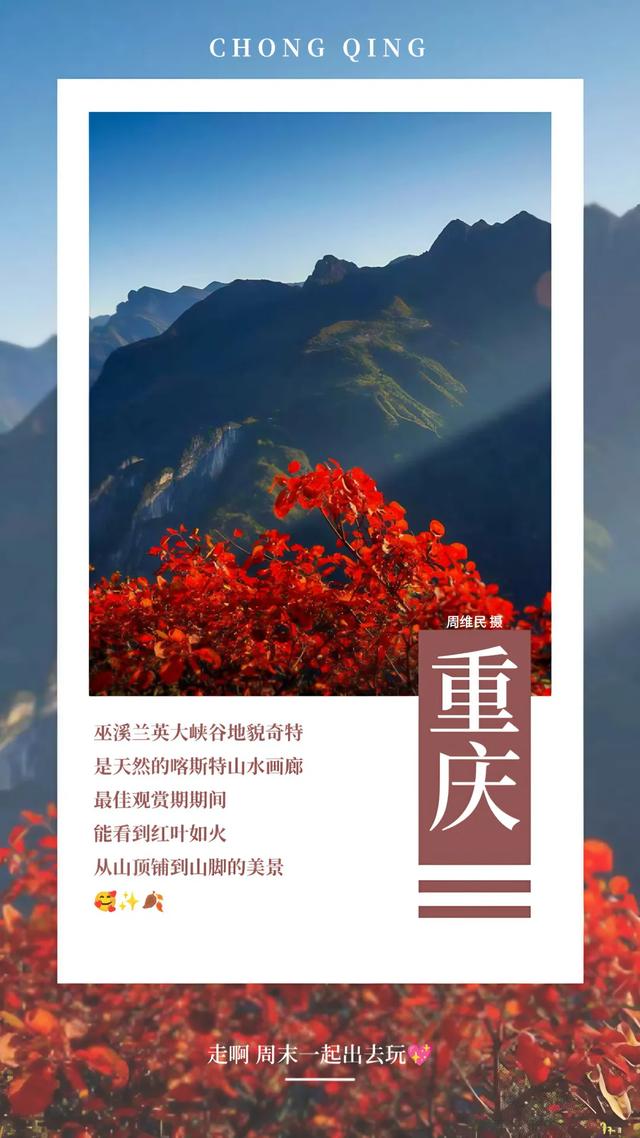 此时不看,再等一年!红了,冲冲冲!