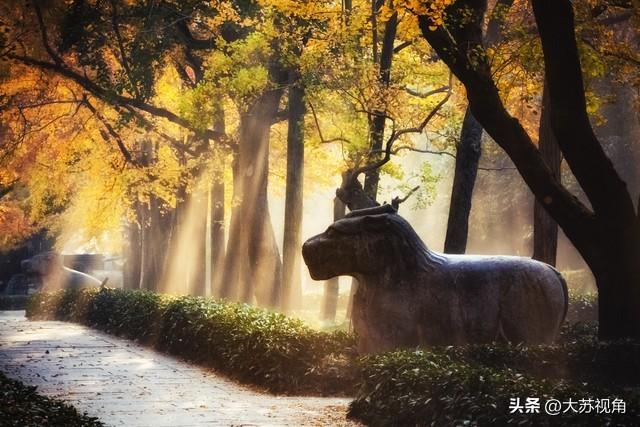 南京中秋国庆要冲上全国第一，苏超带火的不止旅游，民宿都抢疯了