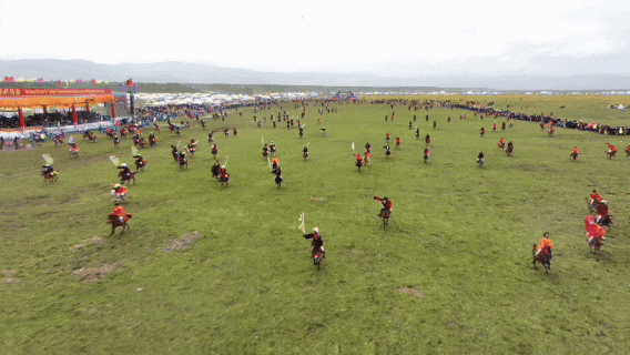 在海拔4000米的川西草原策马，体验理塘藏马，解锁高原浪漫新玩法