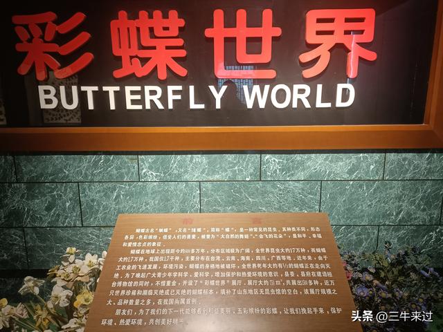 无为在歧路，国庆游淄博2