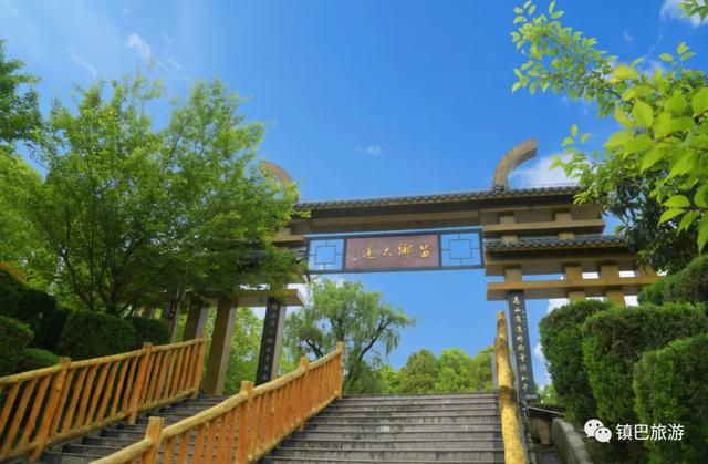 镇巴黄金小环线：一场逃离喧嚣的治愈之旅