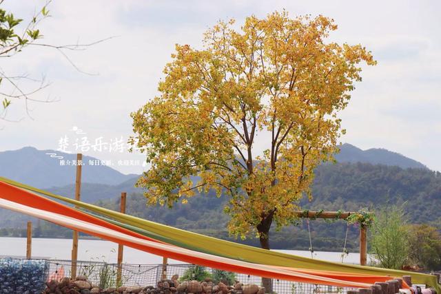 绍兴上虞的千年古湖，竟成了“绍兴的小镰仓”？真实情况原来这样