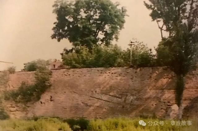 人文章丘 | 王庆康/相公庄人张友谅