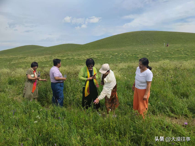 【原创】说走就走，草原行（三）