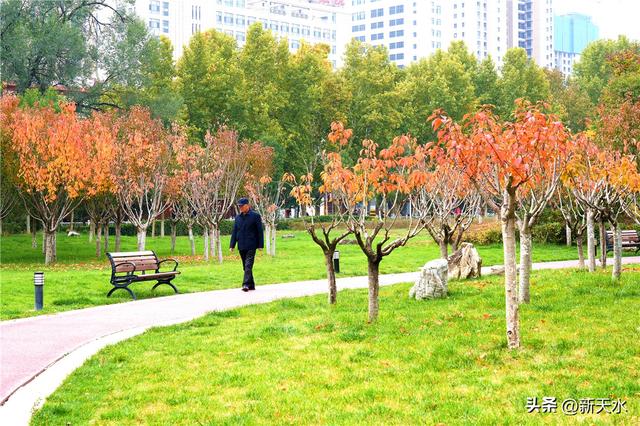 五彩斑斓 叠翠流金 秦州的秋日美极了！