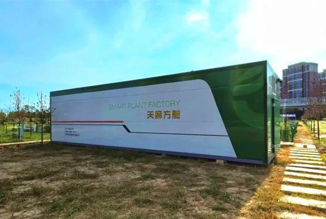 正式投用！西咸新区多个重点项目迎来新进展