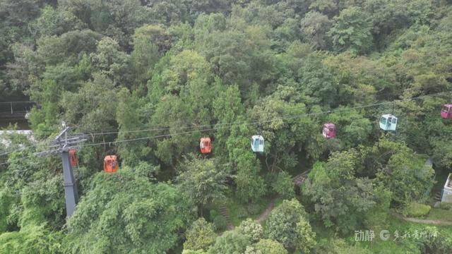 日接待游客超10万人次！黔灵山公园凭什么成了贵州旅游的顶流？