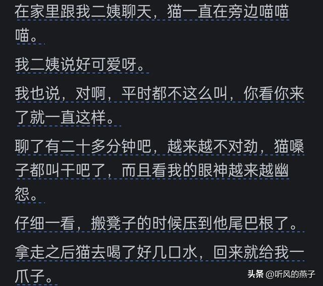 你是否有过把宠物逼的差点说话的时候？网友们的分享，惊呆了