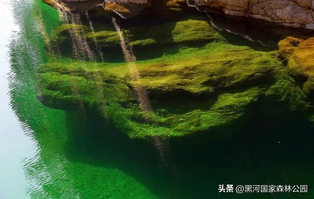 清风带凉意,最美是初秋,一键解锁黑河山水间的治愈美景!