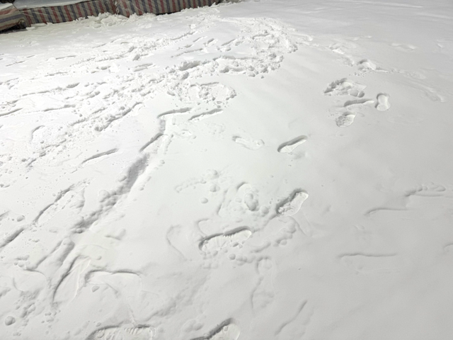 快抢早鸟票！12月25日开业~