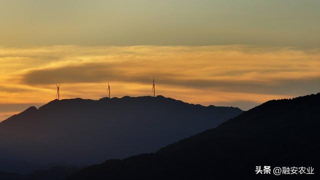 广西融安：秋日霞光映山川