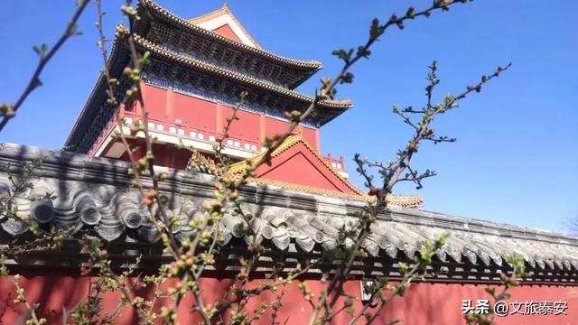 谁懂啊!走进东平贯中园,我感受到这里的千年侠气了!