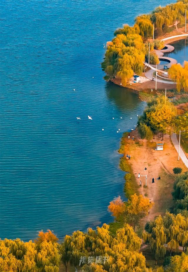 河南冬景上新，藏不住了！