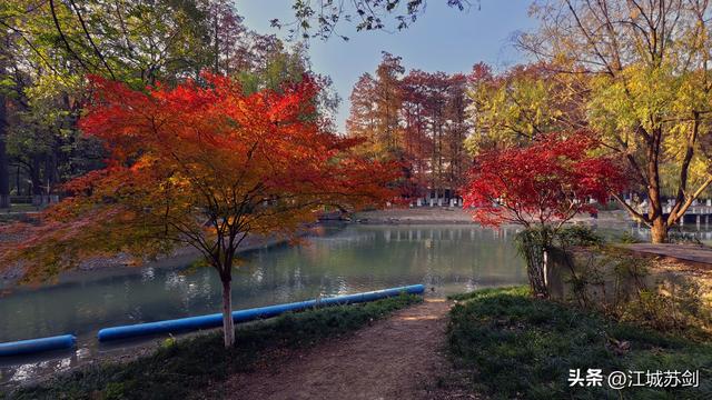 霜影下的城市绯霞