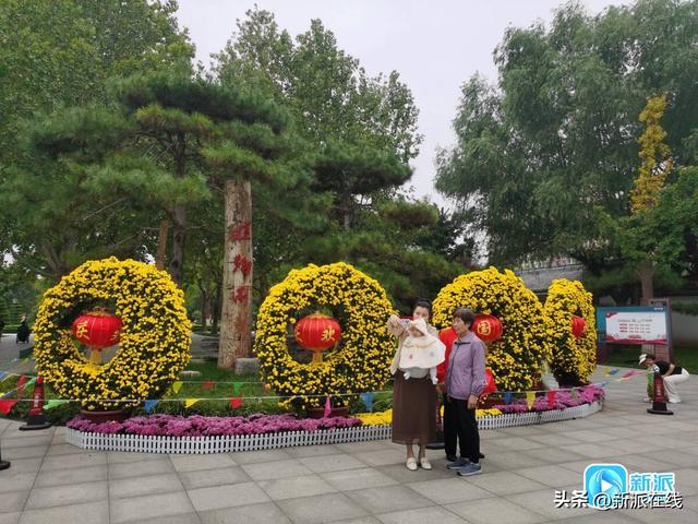 跟着“潍马”游潍坊 一起打卡沿途美景感受人文魅力