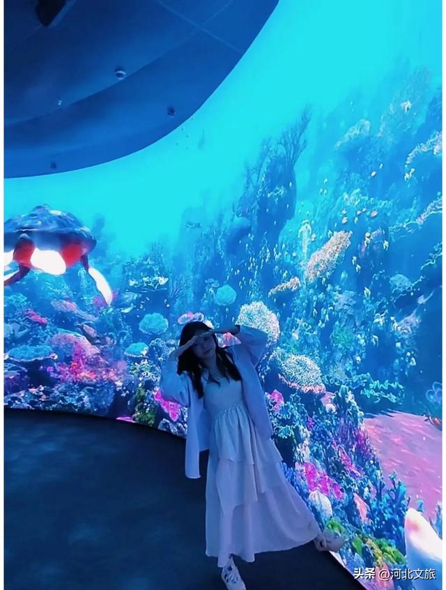 漫游唐山 | 曹妃甸城市馆打卡攻略