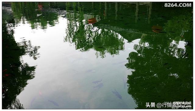 山东行游影记（2）—济南趵突泉（二）