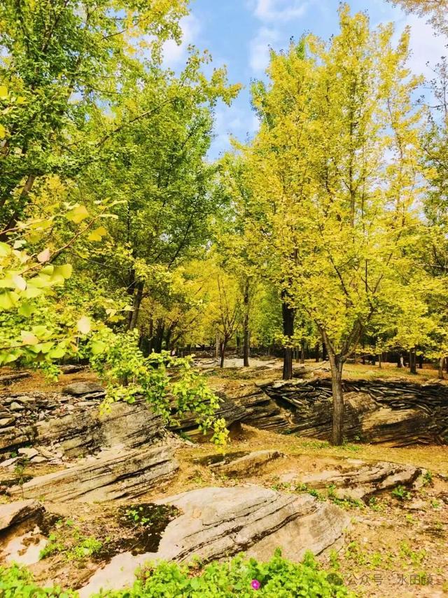 从街角到古村，一键解锁贵阳的秋日浪漫