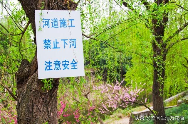 景区吊桥断裂瞬间：29人坠落，有人再也没醒来！被忽略的致命细节
